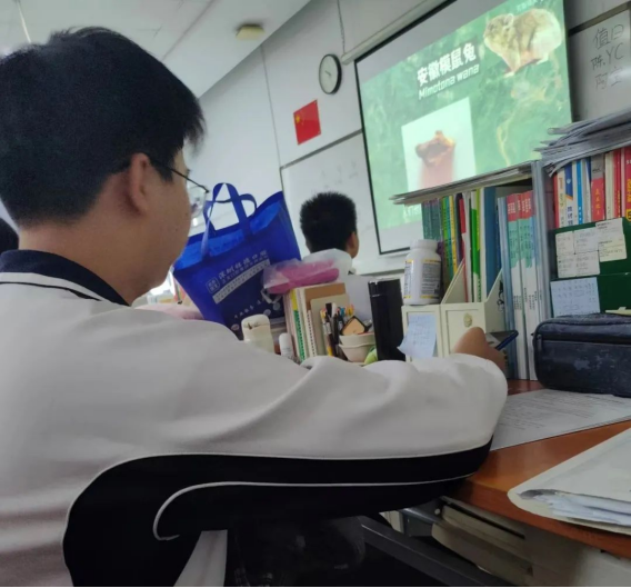 免费观看B站刺激战场2023
