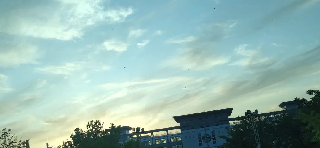 免费观看B站刺激战场2023