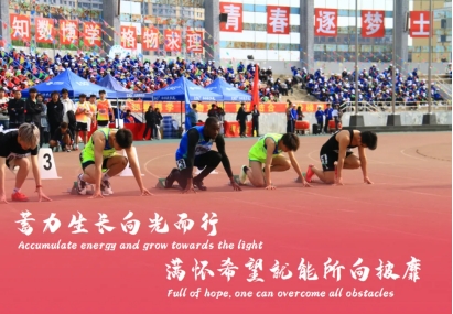 免费观看B站刺激战场2023