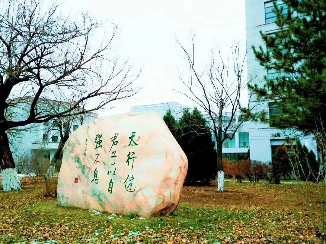 免费观看B站刺激战场2023